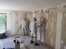 Best Post-Construction Mold Inspection  in Hauppauge, NY